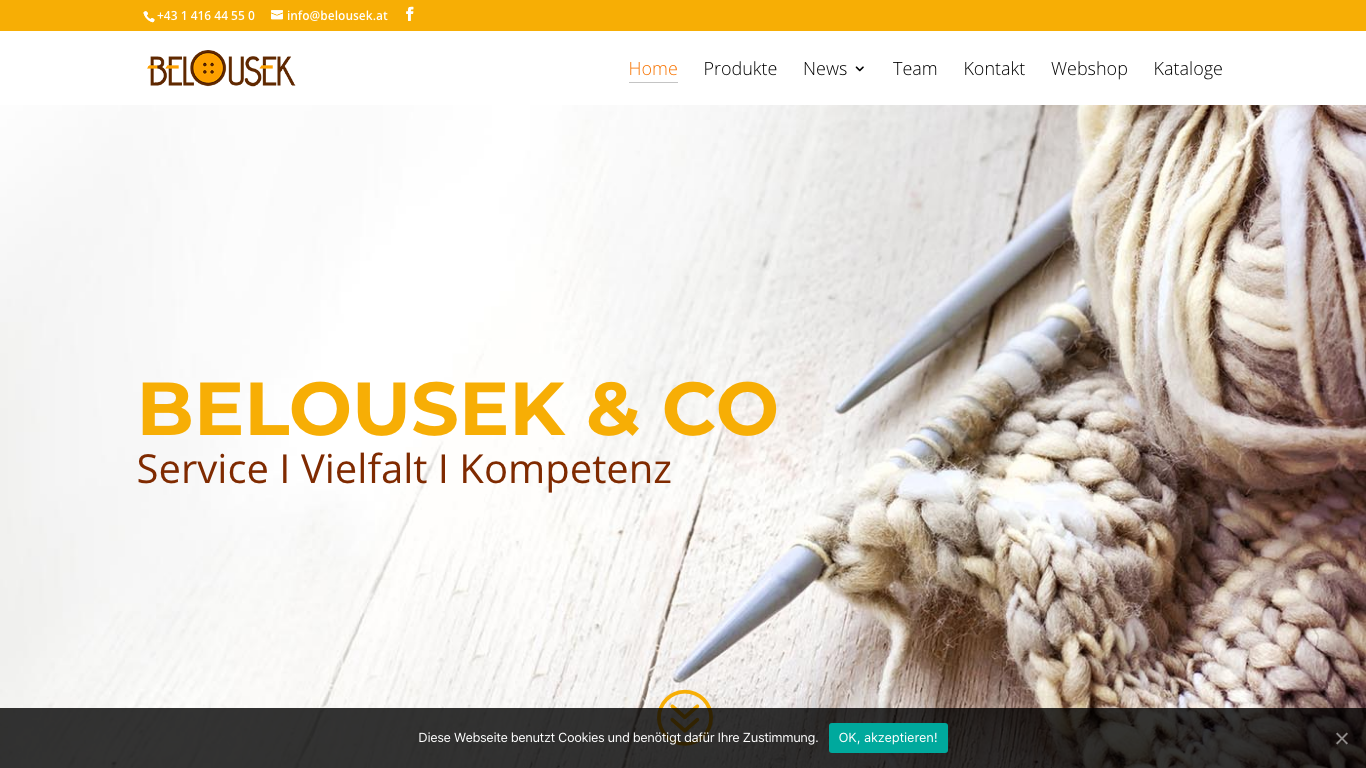 Leopoldine Belousek & Co. GmbH Screenshot of the company website