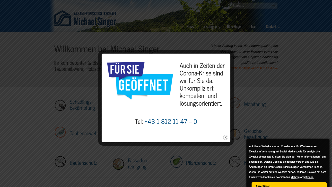 Assanierungsgesellschaft Michael Singer GmbH & Co KG Скриншот вебсайта компании